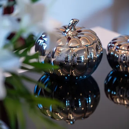 Zinovia's Luxury House Διαμέρισμα Κάρυστος