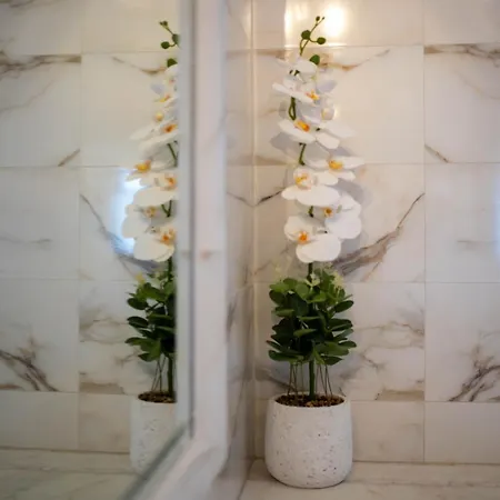 Zinovia's Luxury House *