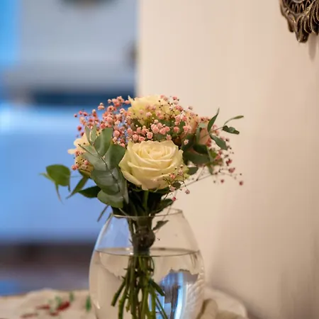 Zinovia's Luxury House Διαμέρισμα *